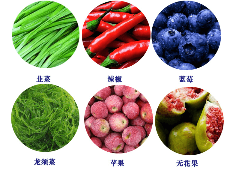 清洗機(jī)使用范圍2.png